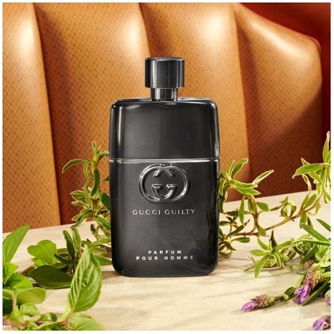 gucci guilty parfum pour homme notes|Gucci Guilty eau pour homme.